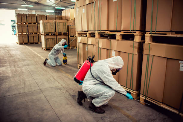 Best Flea Control Services  in Ontario, OH