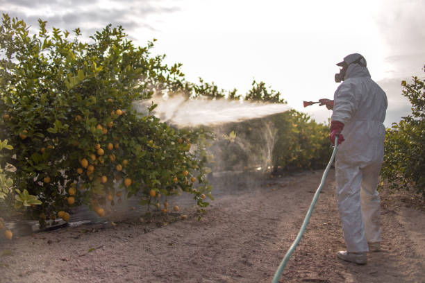 Best Pest Prevention Services  in Ontario, OH